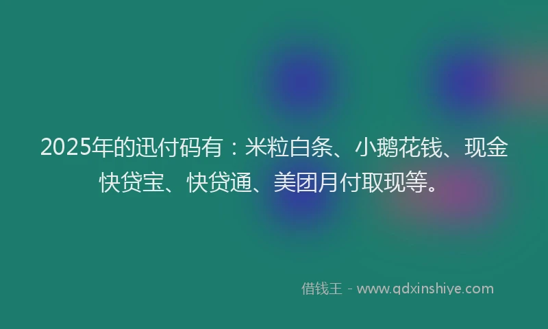 2025年的迅付码有：米粒白条、小鹅花钱、现金快贷宝、快贷通、美团月付取现等。