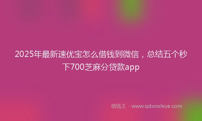 2025年最新速优宝怎么借钱到微信，总结五个秒下700芝麻分贷款app
