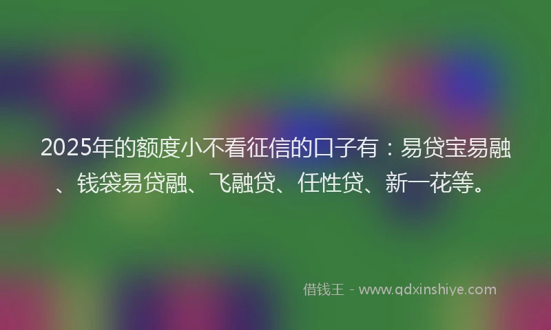 2025年的额度小不看征信的口子有：易贷宝易融、钱袋易贷融、飞融贷、任性贷、新一花等。