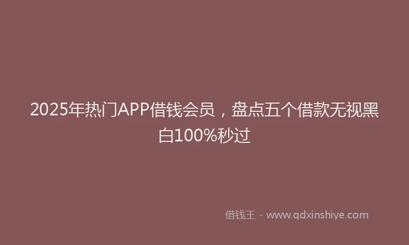 2025年热门APP借钱会员，盘点五个借款无视黑白100%秒过