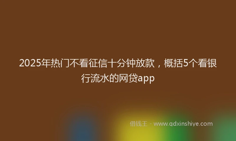 2025年热门不看征信十分钟放款，概括5个看银行流水的网贷app