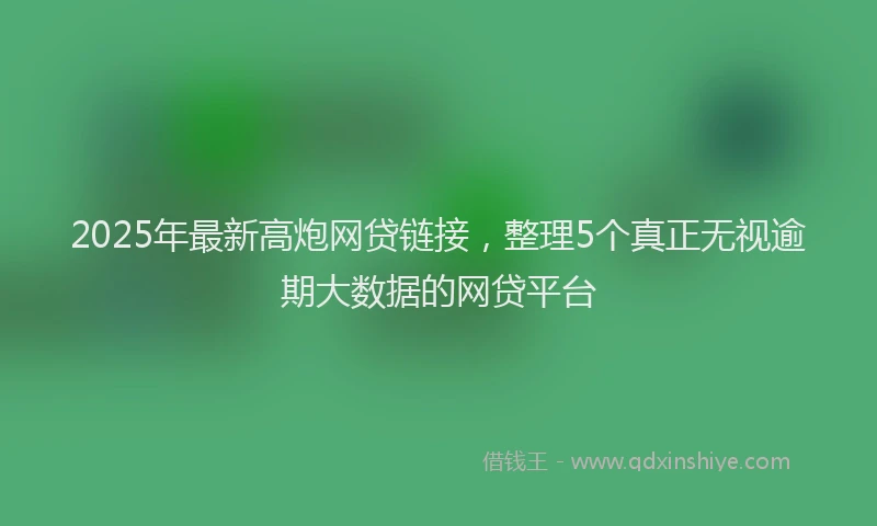 2025年最新高炮网贷链接，整理5个真正无视逾期大数据的网贷平台