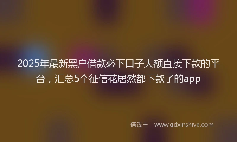 2025年最新黑户借款必下口子大额直接下款的平台，汇总5个征信花居然都下款了的app