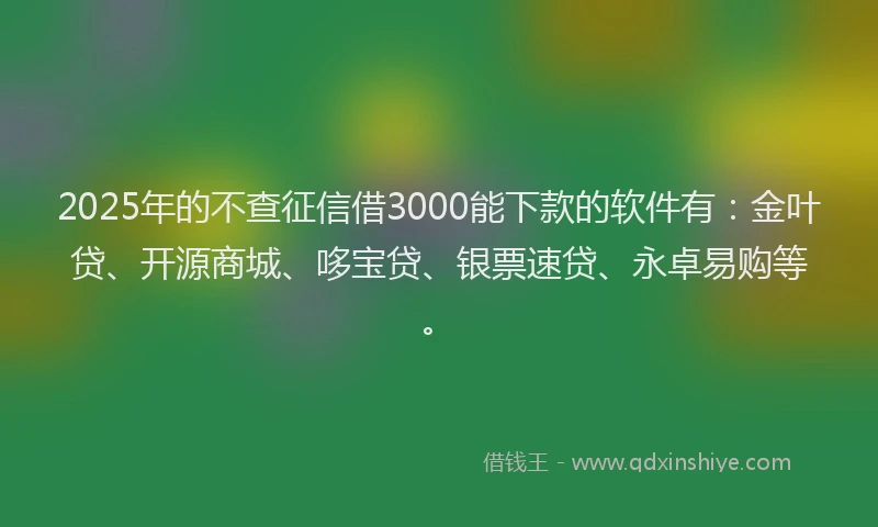 2025年的不查征信借3000能下款的软件有：金叶贷、开源商城、哆宝贷、银票速贷、永卓易购等。