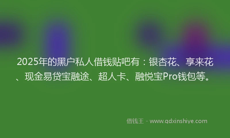 2025年的黑户私人借钱贴吧有：银杏花、享来花、现金易贷宝融途、超人卡、融悦宝Pro钱包等。
