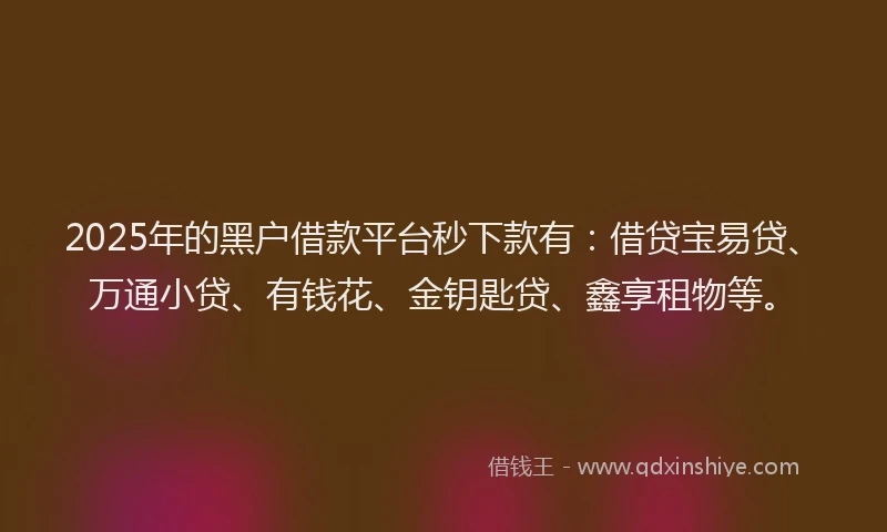 2025年的黑户借款平台秒下款有：借贷宝易贷、万通小贷、有钱花、金钥匙贷、鑫享租物等。