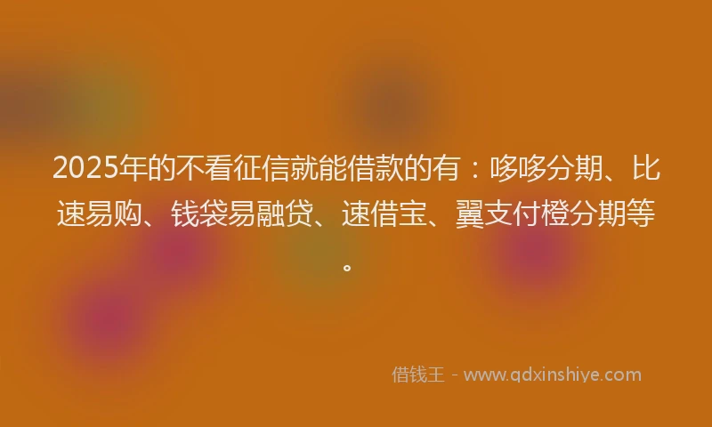 2025年的不看征信就能借款的有：哆哆分期、比速易购、钱袋易融贷、速借宝、翼支付橙分期等。