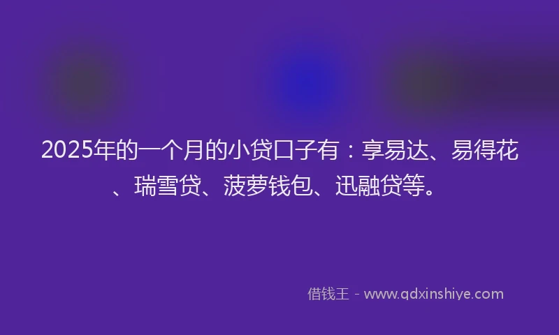 2025年的一个月的小贷口子有：享易达、易得花、瑞雪贷、菠萝钱包、迅融贷等。