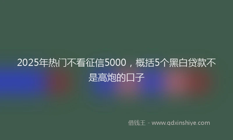 2025年热门不看征信5000，概括5个黑白贷款不是高炮的口子