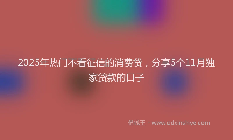 2025年热门不看征信的消费贷，分享5个11月独家贷款的口子