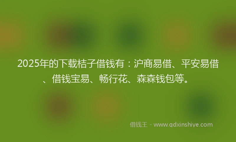 2025年的下载桔子借钱有：沪商易借、平安易借、借钱宝易、畅行花、森森钱包等。