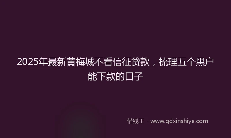 2025年最新黄梅城不看信征贷款，梳理五个黑户能下款的口子