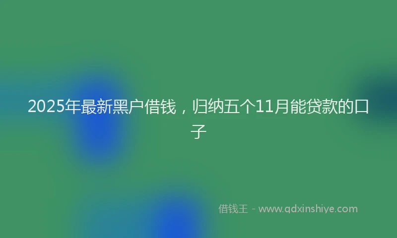 2025年最新黑户借钱，归纳五个11月能贷款的口子