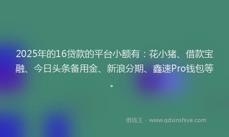 2025年的16贷款的平台小额有：花小猪、借款宝融、今日头条备用金、新浪分期、鑫速Pro钱包等。