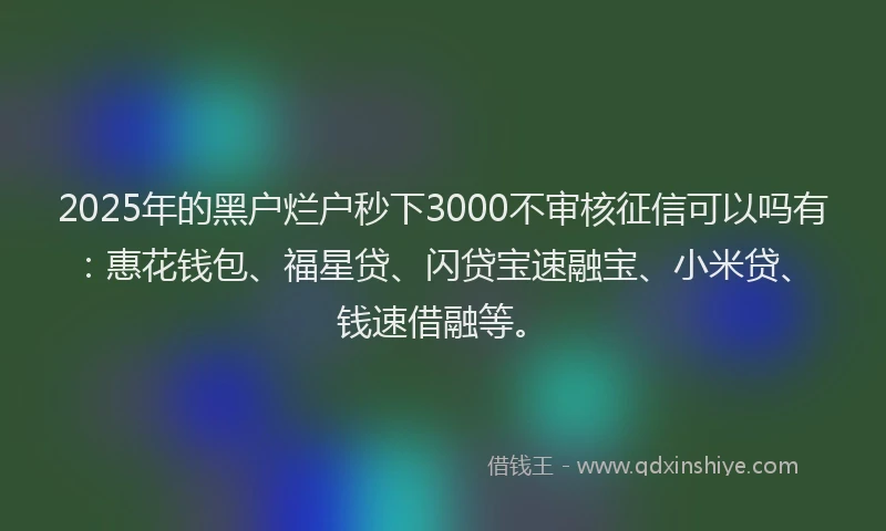 2025年的黑户烂户秒下3000不审核征信可以吗有：惠花钱包、福星贷、闪贷宝速融宝、小米贷、钱速借融等。