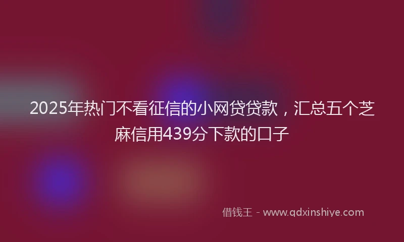 2025年热门不看征信的小网贷贷款，汇总五个芝麻信用439分下款的口子