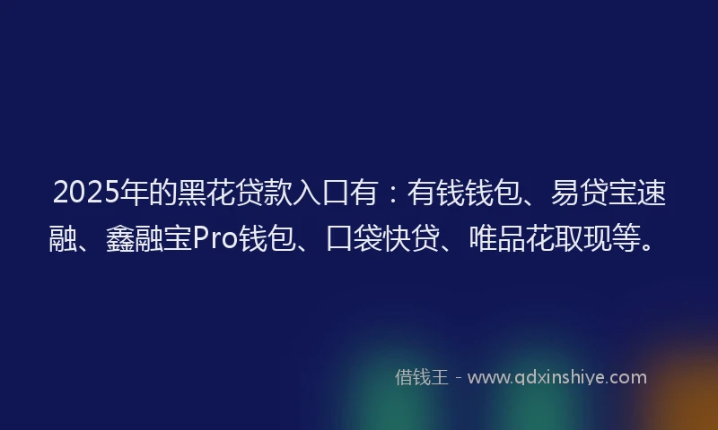 2025年的黑花贷款入口有：有钱钱包、易贷宝速融、鑫融宝Pro钱包、口袋快贷、唯品花取现等。