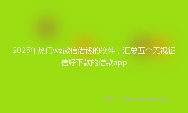 2025年热门wz微信借钱的软件，汇总五个无视征信好下款的借款app