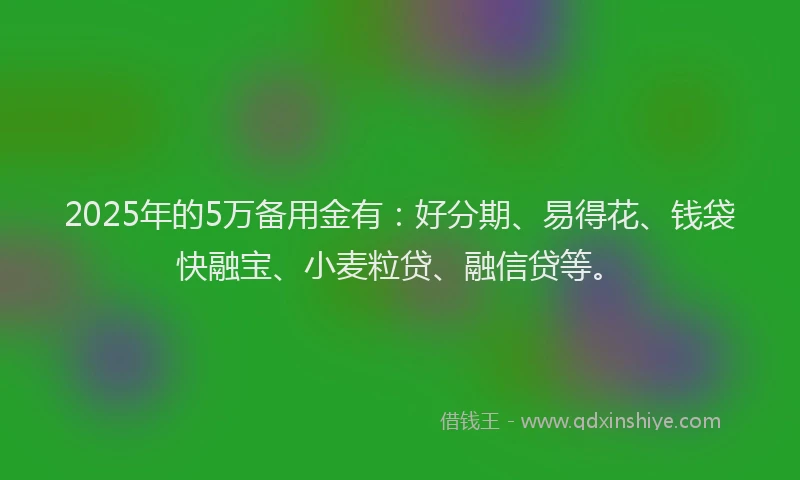2025年的5万备用金有：好分期、易得花、钱袋快融宝、小麦粒贷、融信贷等。
