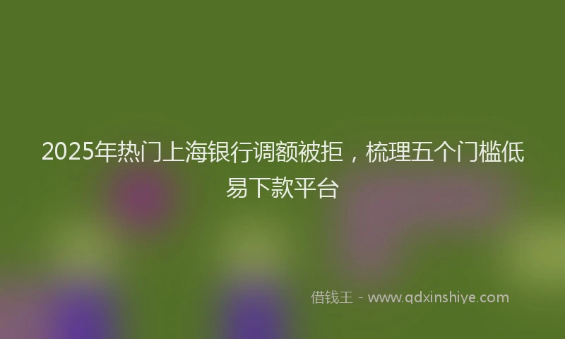2025年热门上海银行调额被拒，梳理五个门槛低易下款平台