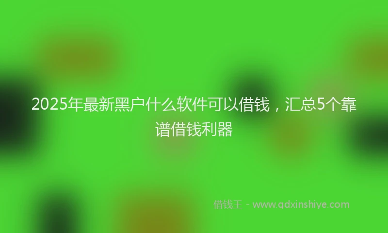 2025年最新黑户什么软件可以借钱，汇总5个靠谱借钱利器