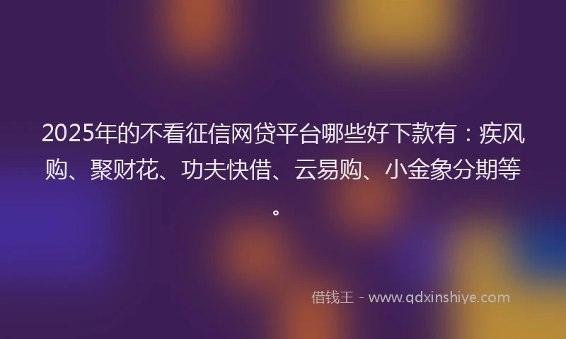 2025年的不看征信网贷平台哪些好下款有：疾风购、聚财花、功夫快借、云易购、小金象分期等。