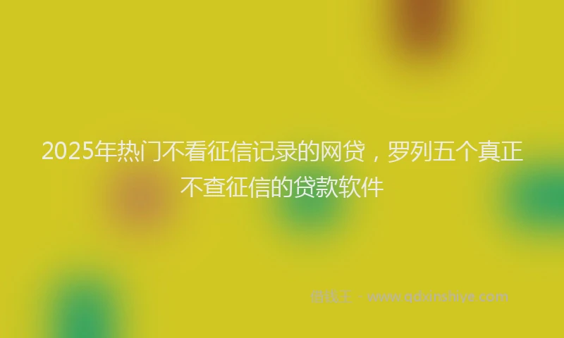2025年热门不看征信记录的网贷，罗列五个真正不查征信的贷款软件