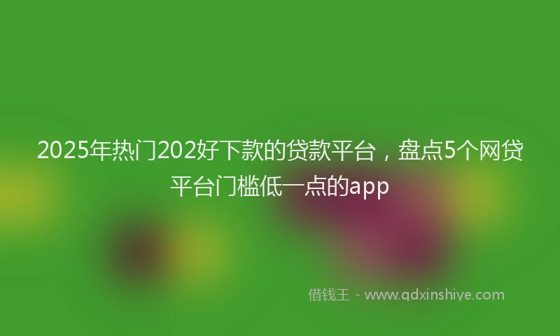 2025年热门202好下款的贷款平台，盘点5个网贷平台门槛低一点的app