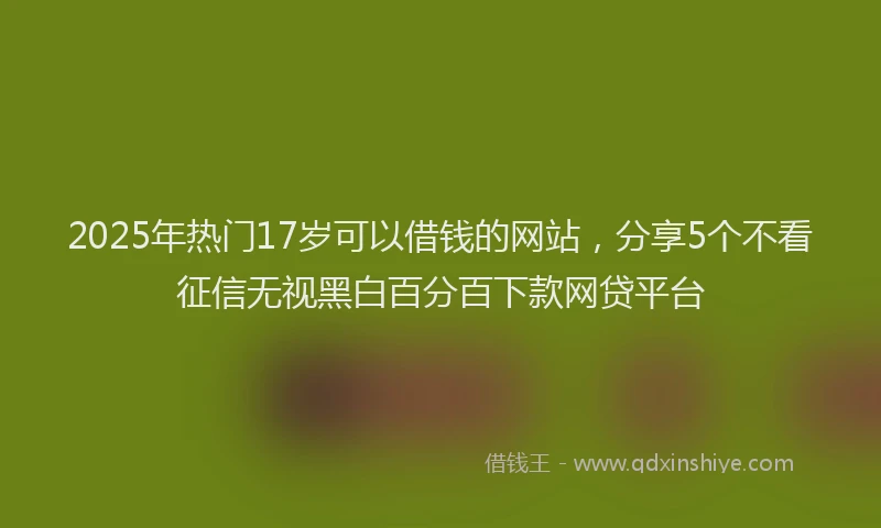 2025年热门17岁可以借钱的网站，分享5个不看征信无视黑白百分百下款网贷平台
