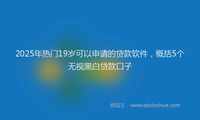 2025年热门19岁可以申请的贷款软件，概括5个无视黑白贷款口子