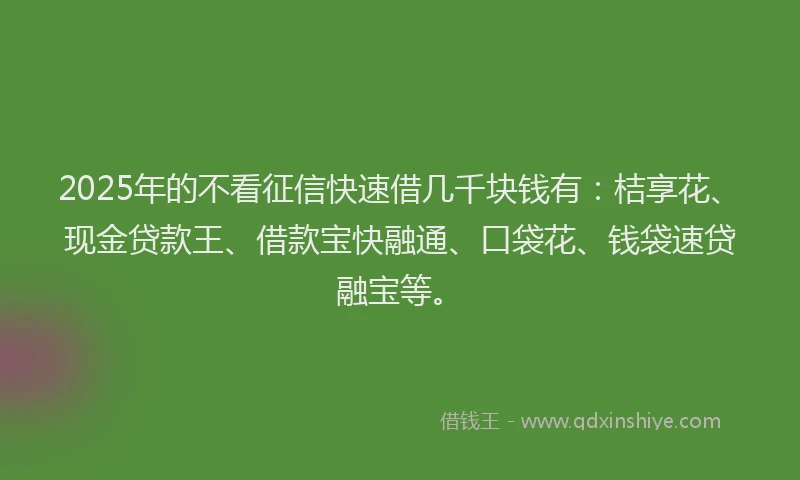 2025年的不看征信快速借几千块钱有：桔享花、现金贷款王、借款宝快融通、口袋花、钱袋速贷融宝等。