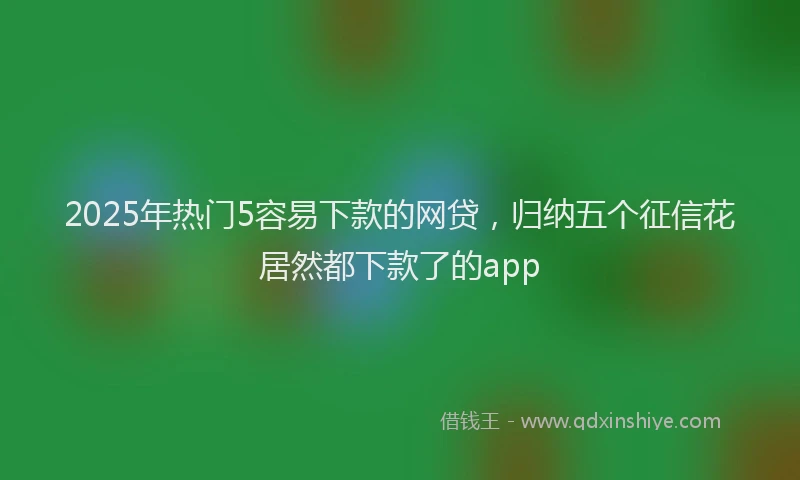 2025年热门5容易下款的网贷，归纳五个征信花居然都下款了的app