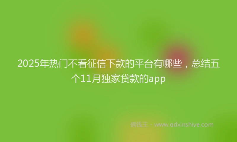 2025年热门不看征信下款的平台有哪些，总结五个11月独家贷款的app