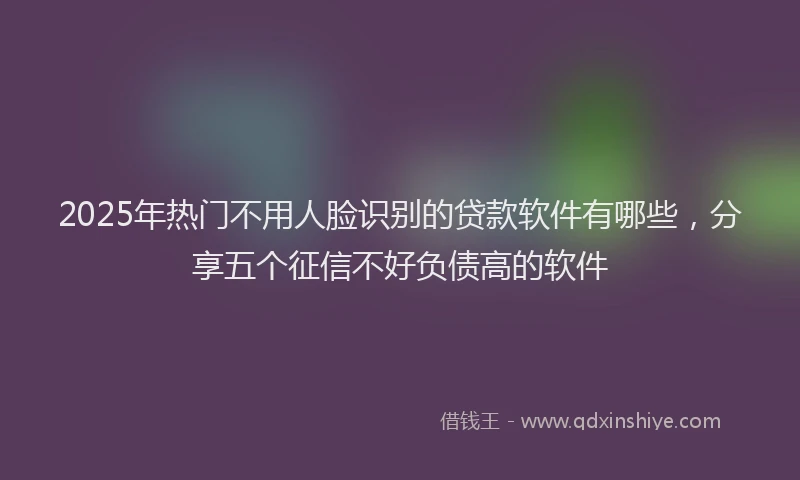 2025年热门不用人脸识别的贷款软件有哪些，分享五个征信不好负债高的软件