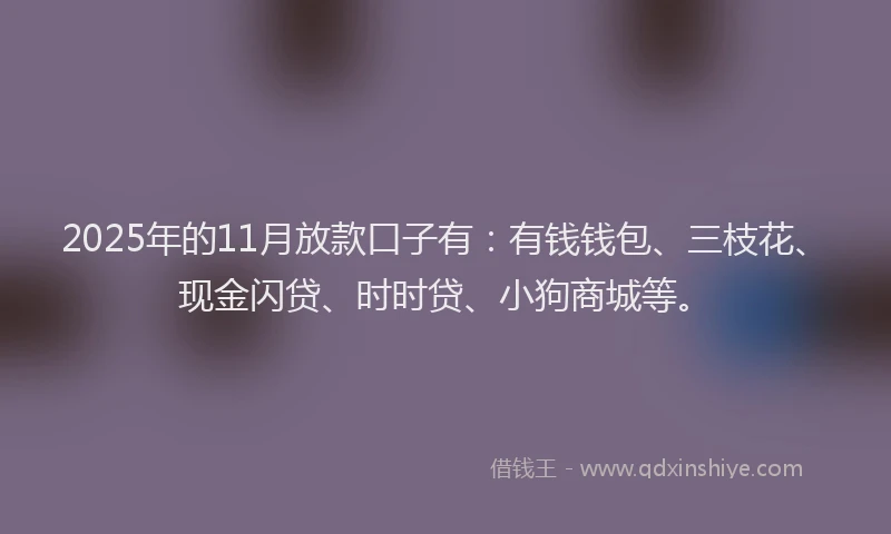 2025年的11月放款口子有：有钱钱包、三枝花、现金闪贷、时时贷、小狗商城等。