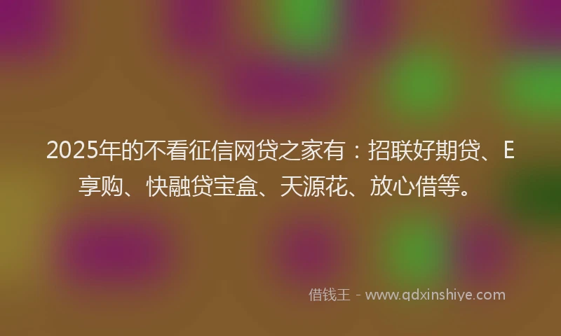 2025年的不看征信网贷之家有：招联好期贷、E享购、快融贷宝盒、天源花、放心借等。