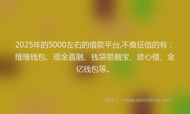 2025年的5000左右的借款平台,不查征信的有：维维钱包、现金直融、钱袋易融宝、放心借、金亿钱包等。