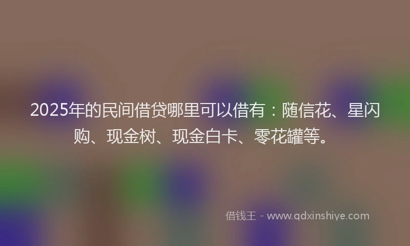2025年的民间借贷哪里可以借有：随信花、星闪购、现金树、现金白卡、零花罐等。