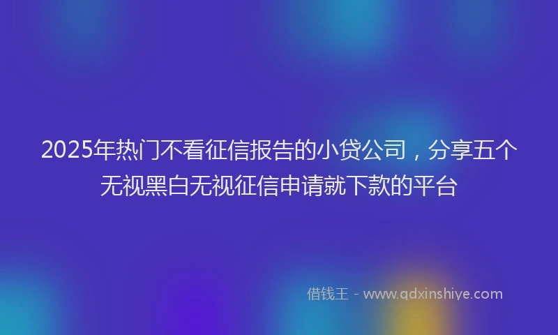 2025年热门不看征信报告的小贷公司，分享五个无视黑白无视征信申请就下款的平台