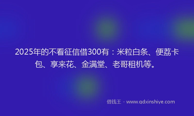 2025年的不看征信借300有：米粒白条、便荔卡包、享来花、金满堂、老哥租机等。