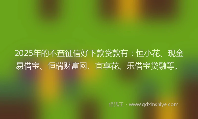 2025年的不查征信好下款贷款有：恒小花、现金易借宝、恒瑞财富网、宜享花、乐借宝贷融等。