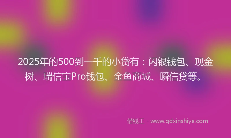 2025年的500到一千的小贷有：闪银钱包、现金树、瑞信宝Pro钱包、金鱼商城、瞬信贷等。