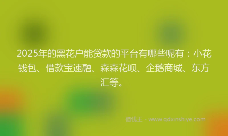 2025年的黑花户能贷款的平台有哪些呢有：小花钱包、借款宝速融、森森花呗、企鹅商城、东方汇等。