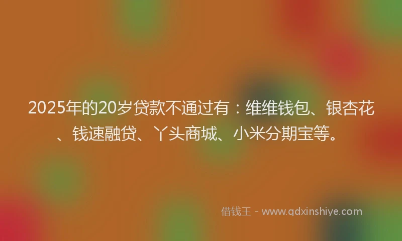 2025年的20岁贷款不通过有：维维钱包、银杏花、钱速融贷、丫头商城、小米分期宝等。