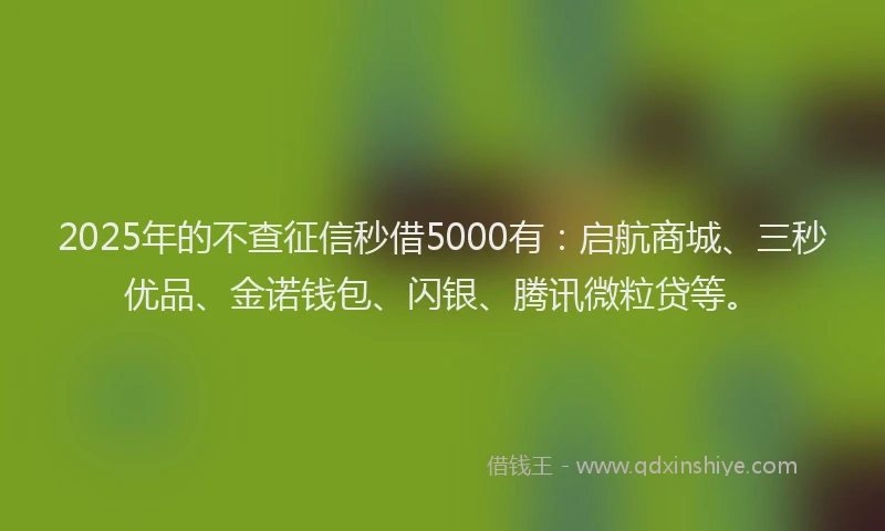 2025年的不查征信秒借5000有：启航商城、三秒优品、金诺钱包、闪银、腾讯微粒贷等。