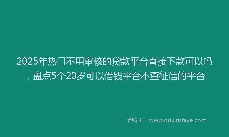 2025年热门不用审核的贷款平台直接下款可以吗，盘点5个20岁可以借钱平台不查征信的平台