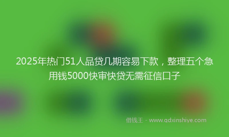 2025年热门51人品贷几期容易下款，整理五个急用钱5000快审快贷无需征信口子