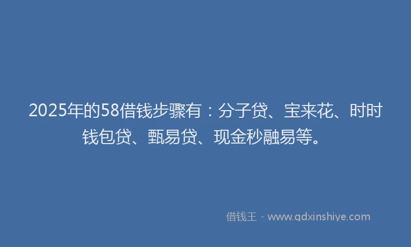 2025年的58借钱步骤有：分子贷、宝来花、时时钱包贷、甄易贷、现金秒融易等。