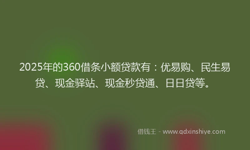 2025年的360借条小额贷款有：优易购、民生易贷、现金驿站、现金秒贷通、日日贷等。