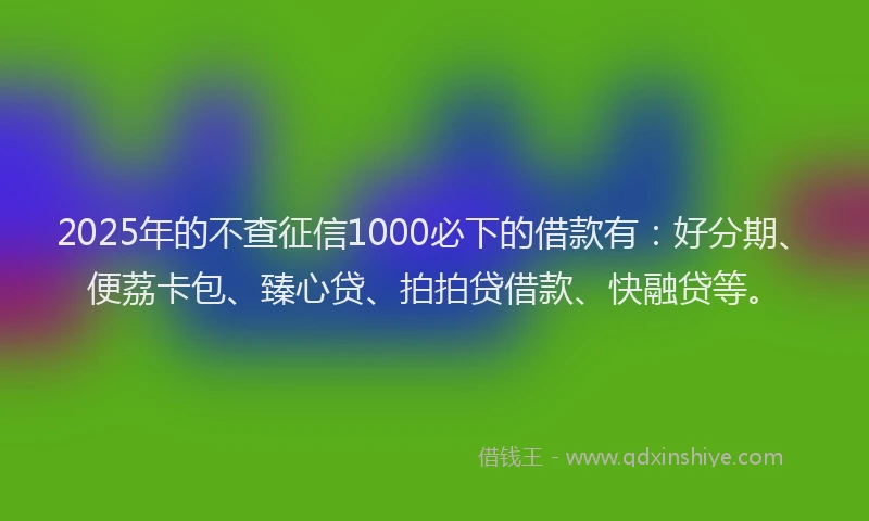 2025年的不查征信1000必下的借款有：好分期、便荔卡包、臻心贷、拍拍贷借款、快融贷等。